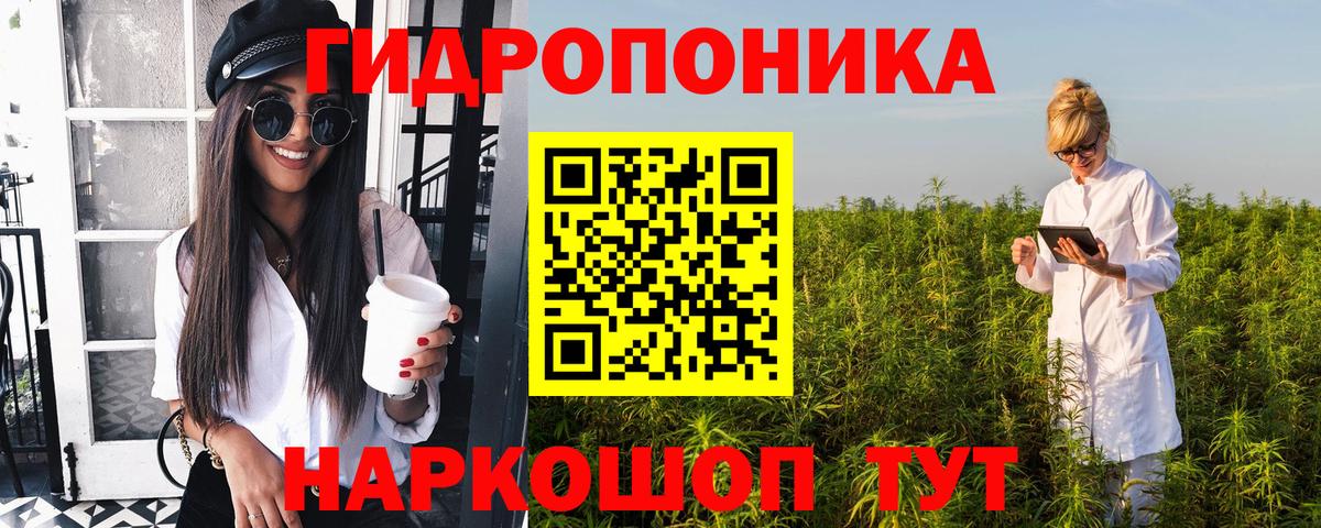 Бошки Шишки планчик Рязань
